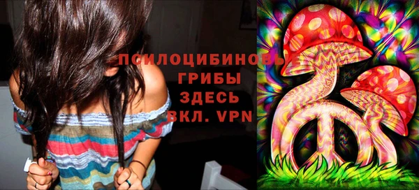 соль ск Алексин